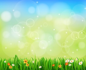 Obraz premium Background Green Grass with butterfly And Sunburst