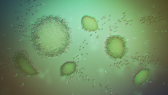 CG Animation Of Macro Close-up Chloroplasts In Algae Cells Under The Microscope.