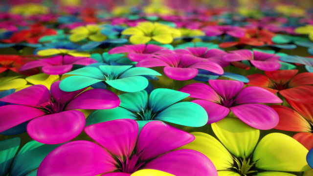 The Infinite Field Filled With Countless Amount Of Colorful Flowers. Loopable HD