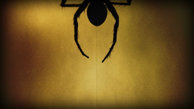 Big scary venomous spider climbing up a thread of its web. Sepia background.