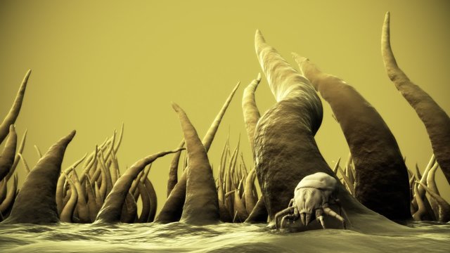 Small bugs living in a dust. It feeds on skin flakes from animals and human.