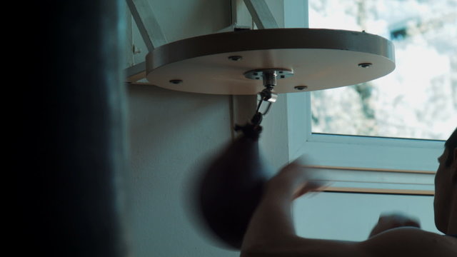 boxing speed punching bag