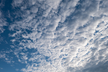 Fototapeta premium Altocumulus clouds and Blue sky