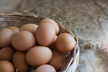 Still Life- Multiple eggs in the basket bubble.