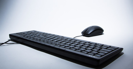 Computer Mouse and Keyboard