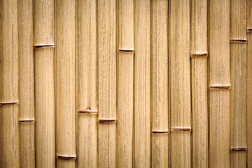 Bamboo fence