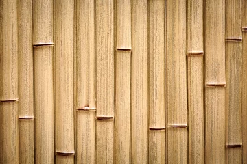Papier Peint photo Lavable Bambou Bamboo fence