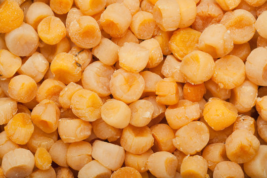 Dried scallops