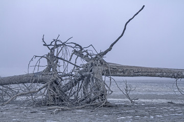 Impressionen vom leeren Speichersee