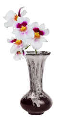 light orchid flowers in dark red vase