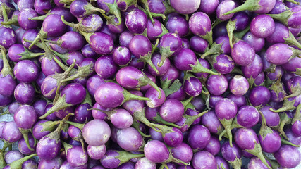 eggplant aubergine nature food violet background - 98714320