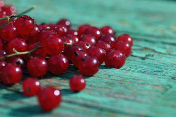 scattering of red currants