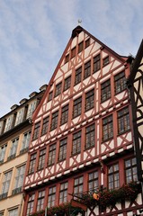 römer in frankfurt am main