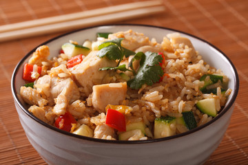 Japanese Tyahan with chicken and vegetables close up. horizontal
