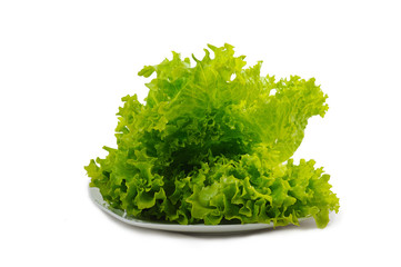 Lettuce