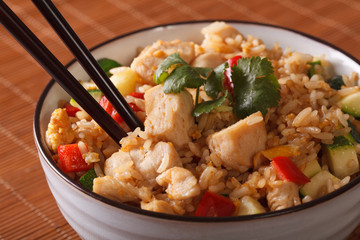 Japanese cuisine: fried rice with chicken - Tyahan. Horizontal
