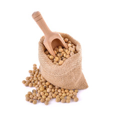 dried soybean in sack and spoon on white background