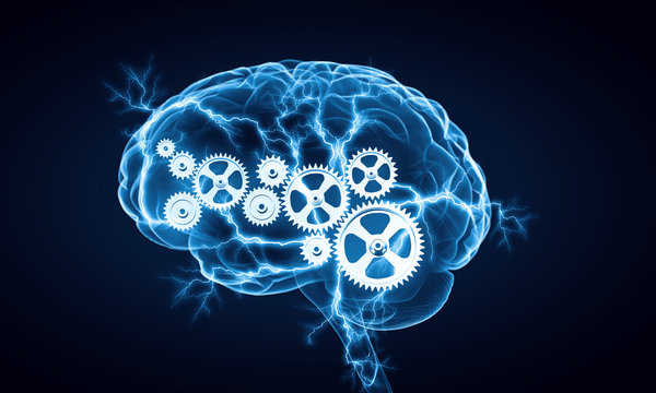Digital human brain