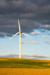 Fototapeta premium Alternative Energy with wind power