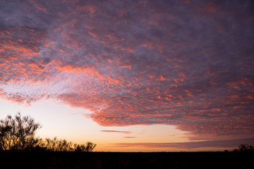 Fototapeta na wymiar ウルルカタジュタ国立公園の夕焼け雲