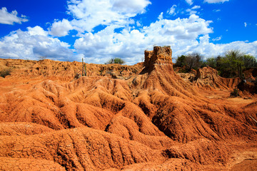 big cactuses in red desert, tatacoa desert, columbia, latin america, clouds and sand, red sand in desert, landscape patterns