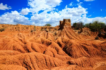 Fotobehang big cactuses in red desert, tatacoa desert, columbia, latin america, clouds and sand, red sand in desert, landscape patterns © ilyshev.photo