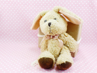 rabbit doll and gift box with space for copy background