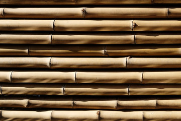 the bamboo texture