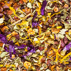 Assorted natural medical herbs background