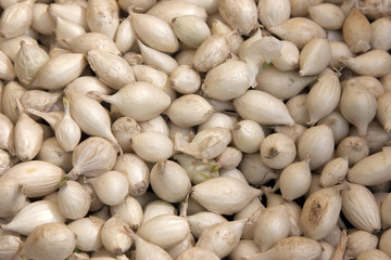 garlic on the market