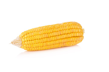 Corn on white background