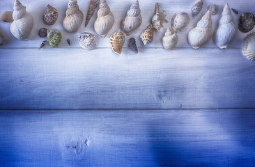shell on wood tables