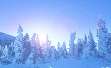 Fototapeta na wymiar Winter in mountains