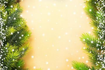 Christmas fir tree branches on paper background