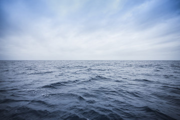Fototapeta na wymiar Portrait of a sea