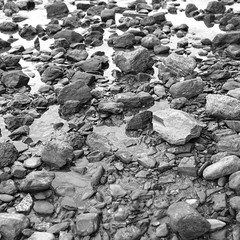 Seashore stones. Black and white photo
