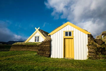 Traditional viking house