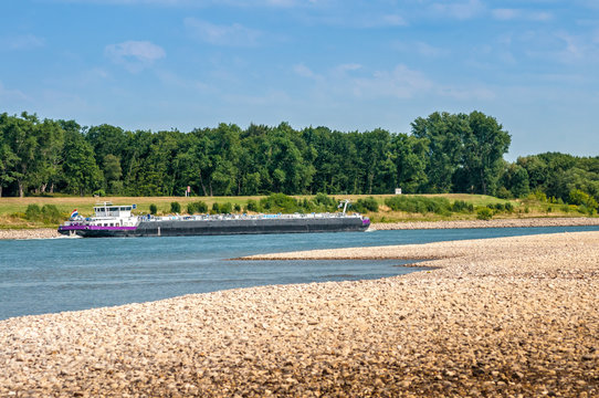 3894 am Rhein bei Uedesheim - Niedrigwasser