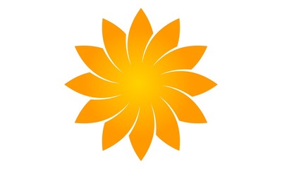 Wealth Management Sun Flower 