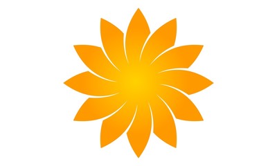 Wealth Management Sun Flower 
