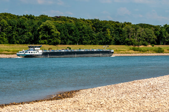 3902 am Rhein bei Uedesheim - Niedrigwasser