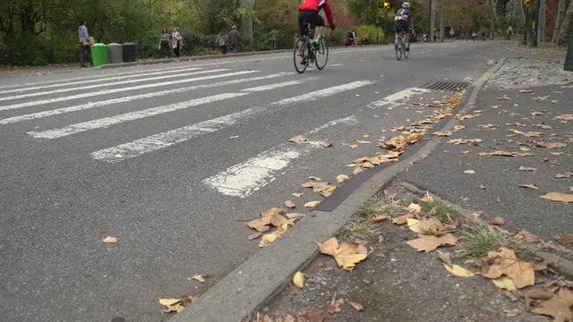 Pedestrians Walk, Jog And Bike Through Central Park