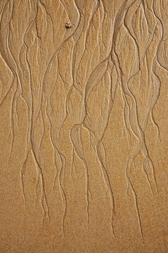 Figure in the form of curved lines in the sand on the beach, make waves
