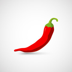 Chili pepper. Vector illustration