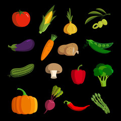 Modern vegetable vector icon set