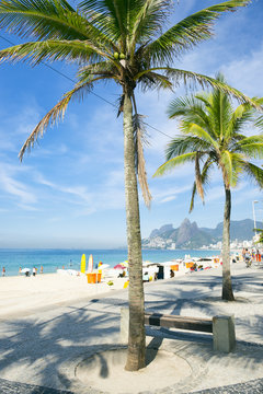 Arpoador Ipanema Beach Rio de Janeiro view of Two Brothers Mountain between two palm trees