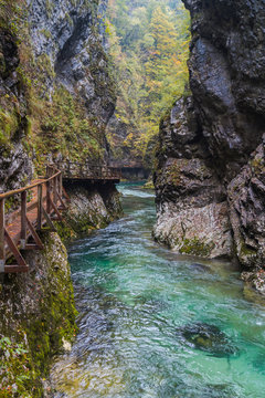 Bled, Slovenia - October 12, 2015. Vintgar gorge with its emerald Radovna river.