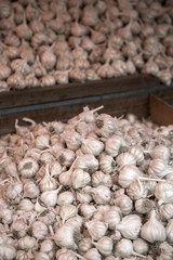 Garlic on the market
