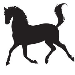black horse silhouette