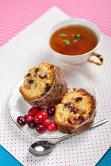 Slices of cranberry cake on the bright background